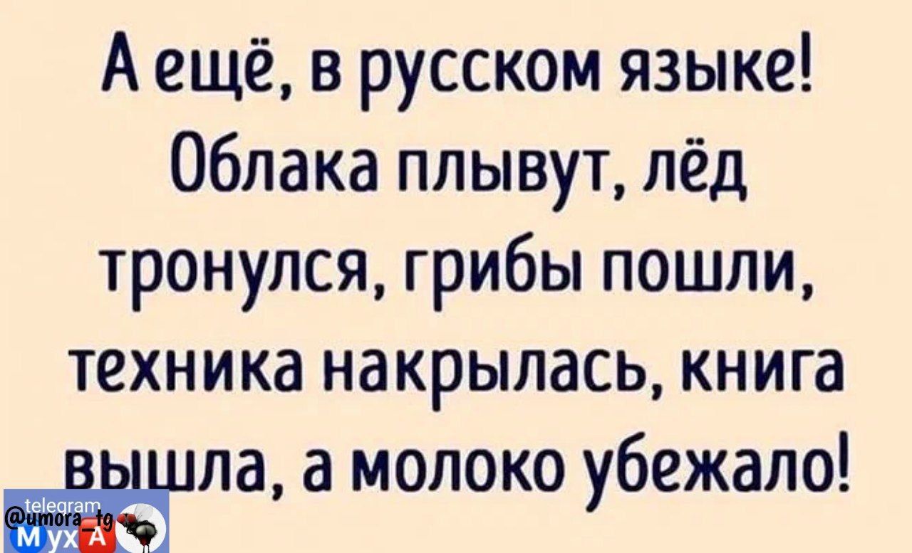 А ещё в русском языке Облака плывут лёд тронулся грибы пошли техника накрылась книга 3 молоко убежало