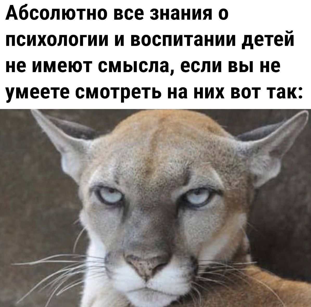 Абсолютно все знания о психологии и воспитании детей не имеют смысла если вы не умеете смотреть на них вот так