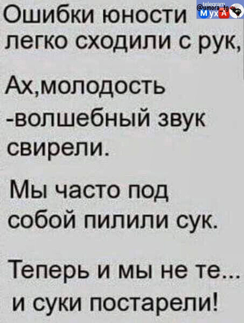 Ошибки юности легко сходили с рук Ахмолодость вопшебный звук свирели Мы часто под собой пилипи сук теперь И МЫ не те И СУКИ постарели