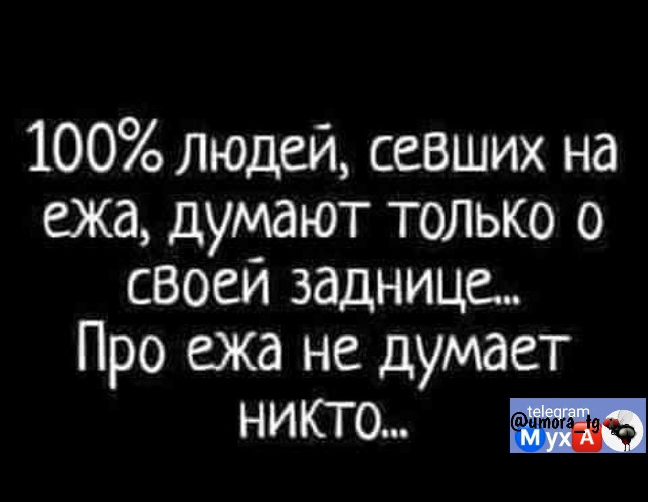 100 людей севших на ежа думают ТОЛЬКО о своеи заднице Про ежа не думает никто