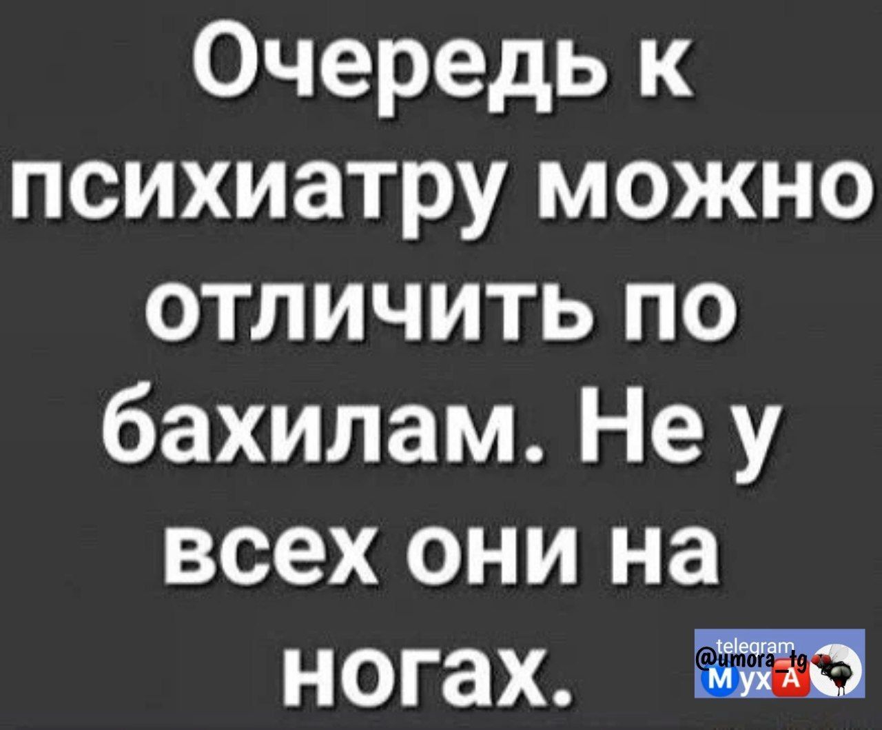 Очередь к психиатру можно отличить по бахилам Не у всех они на ногах а