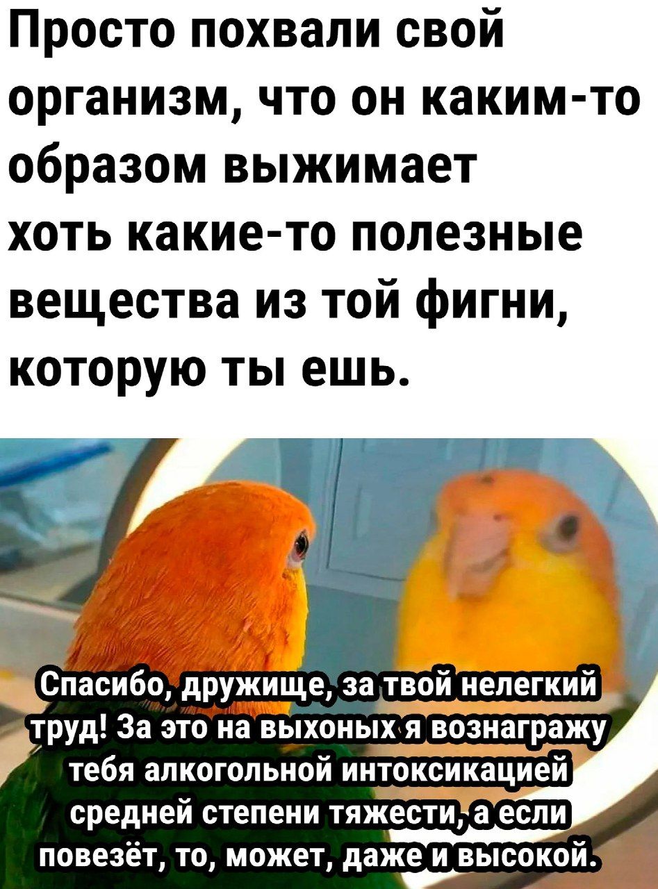 Просто похвали свой организм что он каким то образом выжимает хоть какие то полезные вещества из той фигни которую ты ешь Спасибо дружище за твой нелегкий труд За зтонапхоных я вознагражу тебя алкогольной интоксикацией средней степени тяжести а если ПОВЕЗЕТ ТП МОЖЕТ даже И ВЫСПКРИ