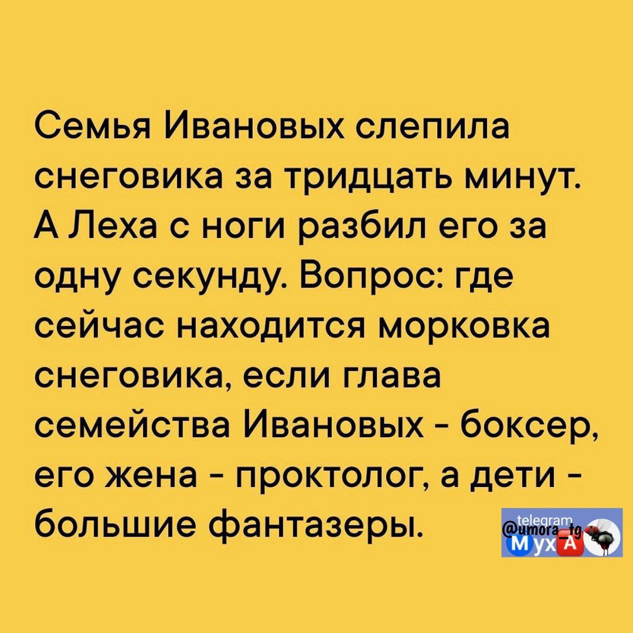 Семья Ивановых слепила снеговика за тридцать минут А Леха с ноги разбил его за одну секунду Вопрос где сейчас находится морковка Снеговика если ггпава семейства Ивановых боксер его жена проктолог а дети большие фантазеры