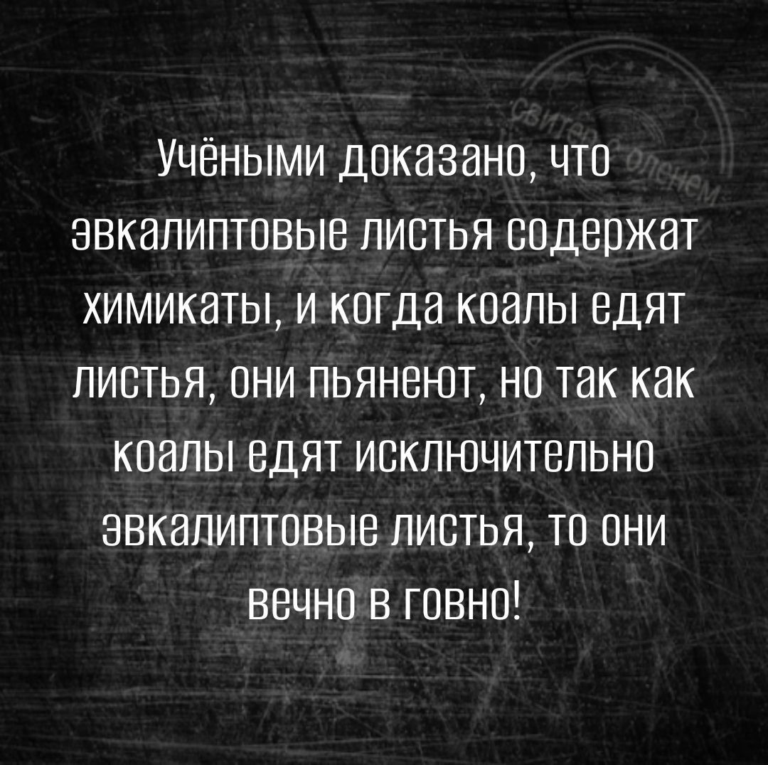 Учёными доказана чтс эвкалиптпвыв листья содержат химикаты и когда коалы едят листья пни пьянеют но так как кпалы едят исключительно эвкалиптввые листья то они вечно в говно