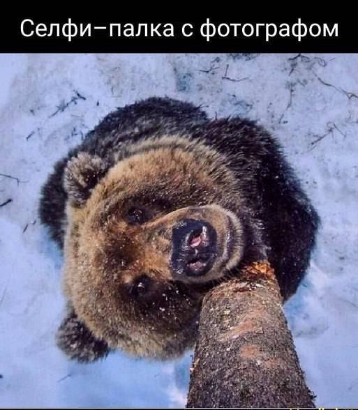 Селфипалка с рафом