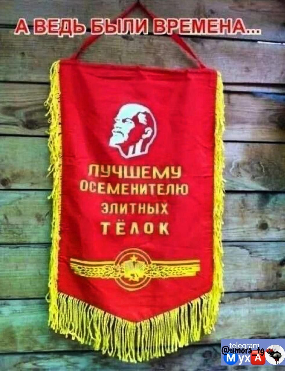 ПЫЧШЕМН ОСЕМЕИИТЕПЮ ЭЛИТНЫХ