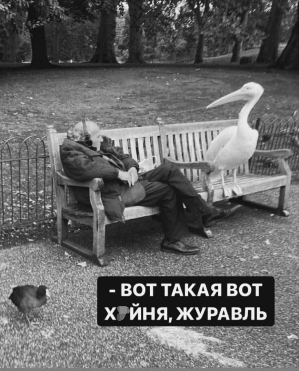 вот ТАКАЯ вот хгйняжумвль