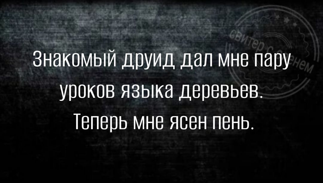 Знакомый друид дал мне пару уроков языка деревьев Теперь мне ясен пень