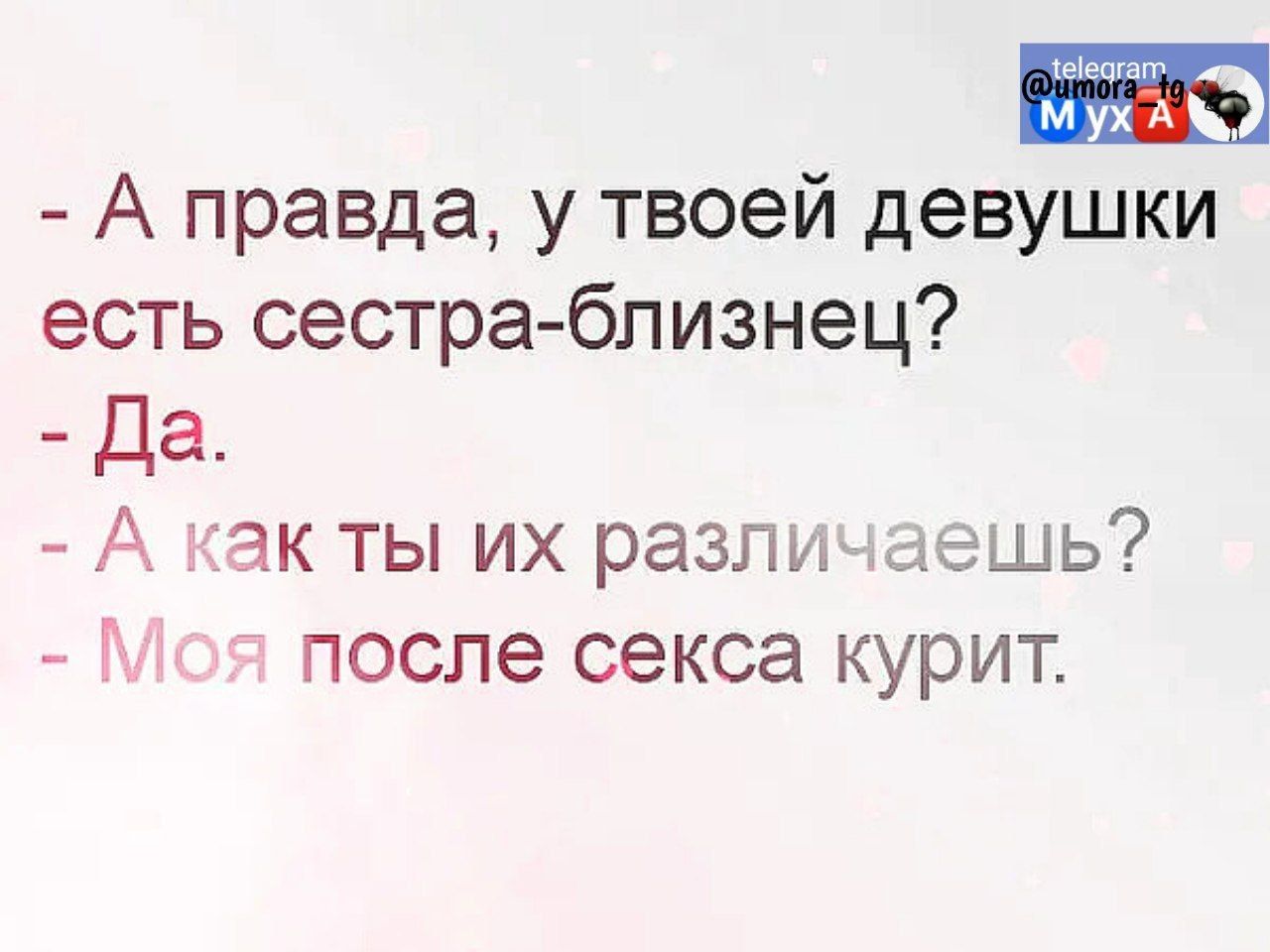 А правда у твоей девушки есть сестра близнец Да А ак ты их разпи аешь Г после секса курит