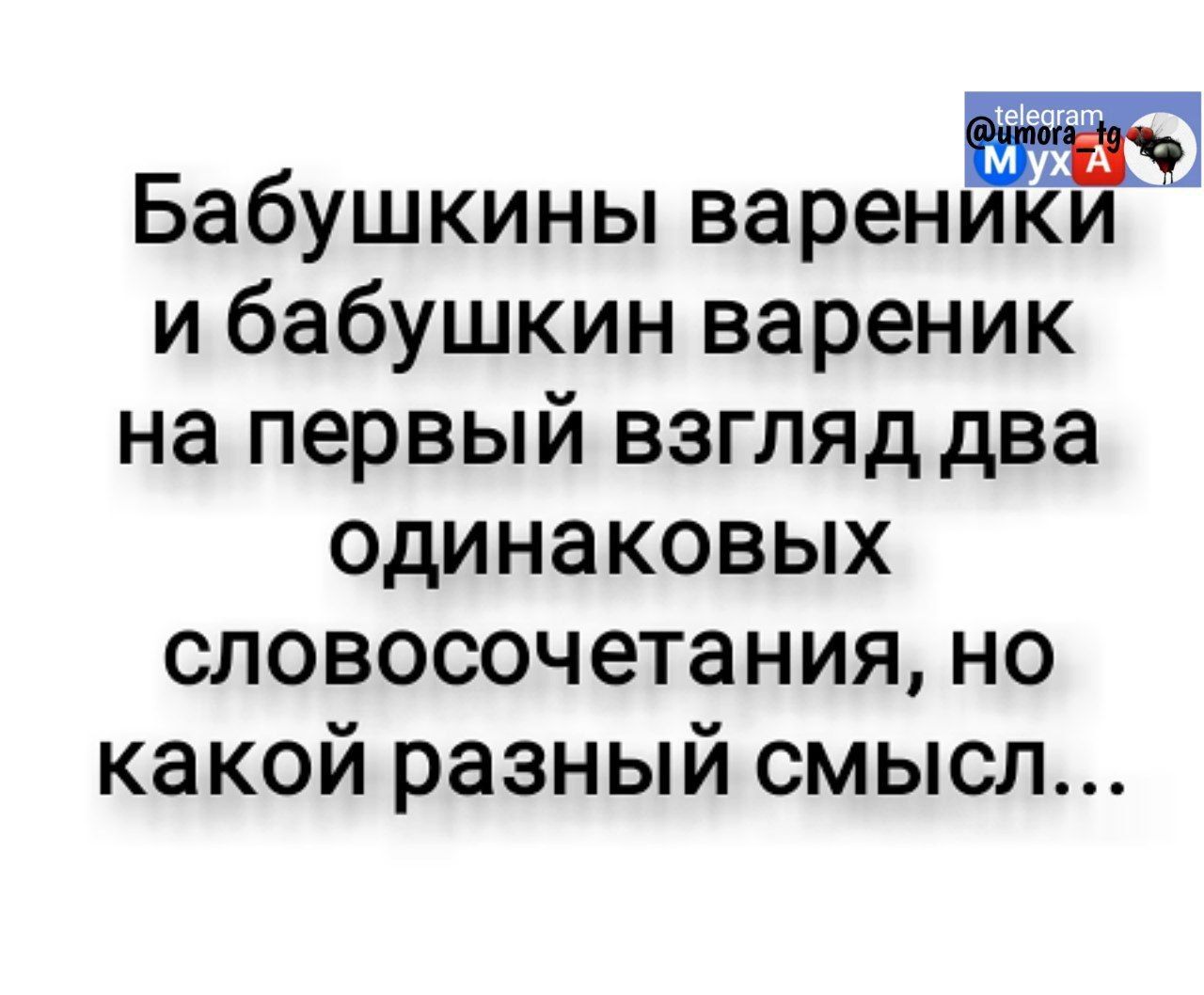 Бабушкины вареники и бабушкин вареник на первый взгляд два одинаковых словосочетания но какой разный смысл