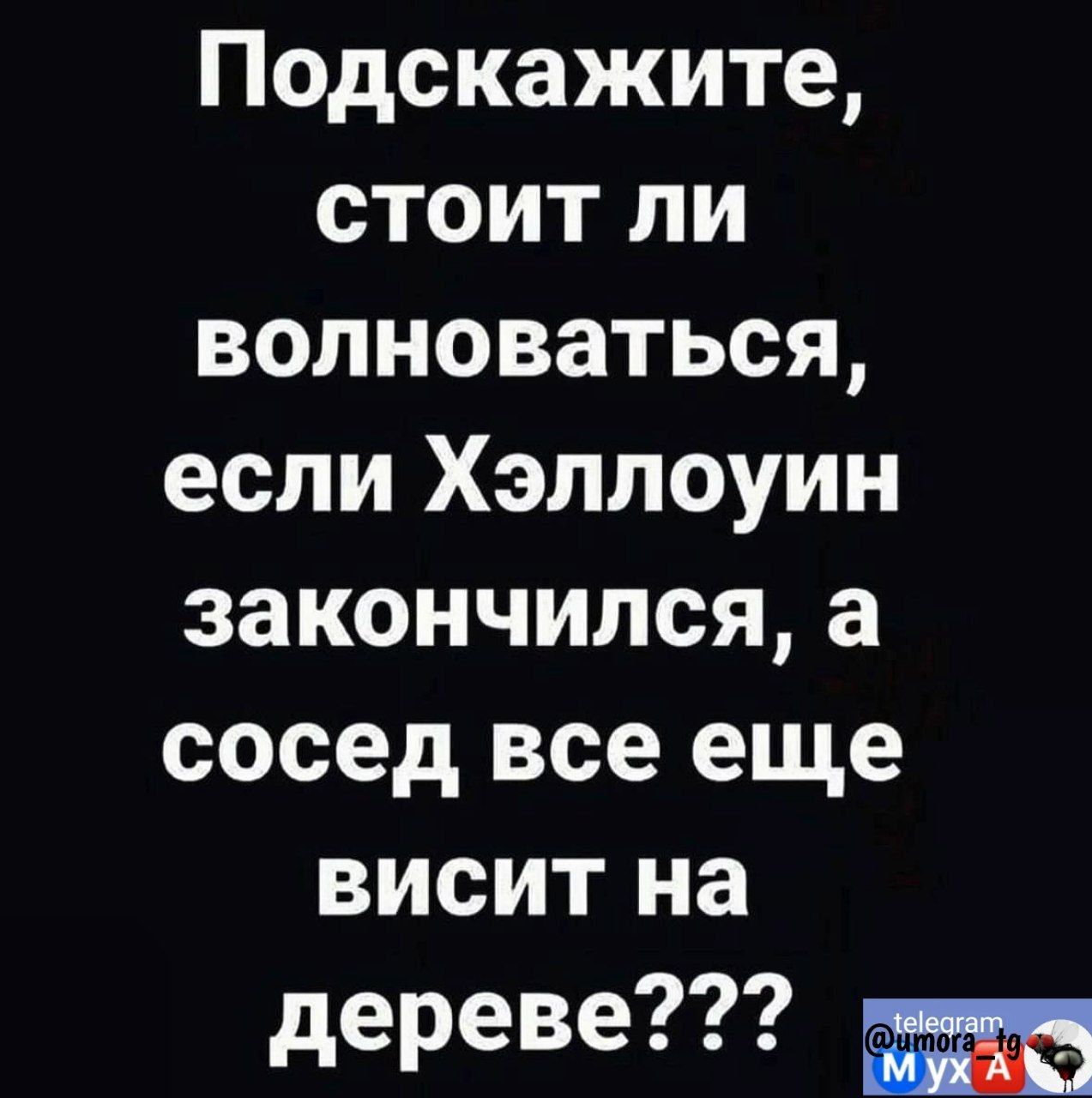 Подскажите стоит ли волноваться если Хэллоуин закончился а сосед все еще висит на дереве