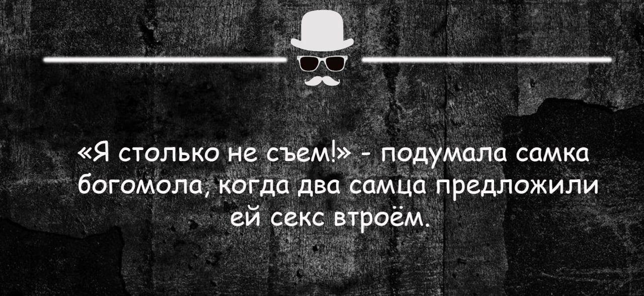 т и Я столько не съем подумала самка богомола Когда двп самца пргдпсжипи ей сгхс втриём