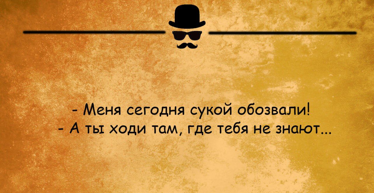 гия сегодня сукой обозвали ть ходи тм Где тебя не знают