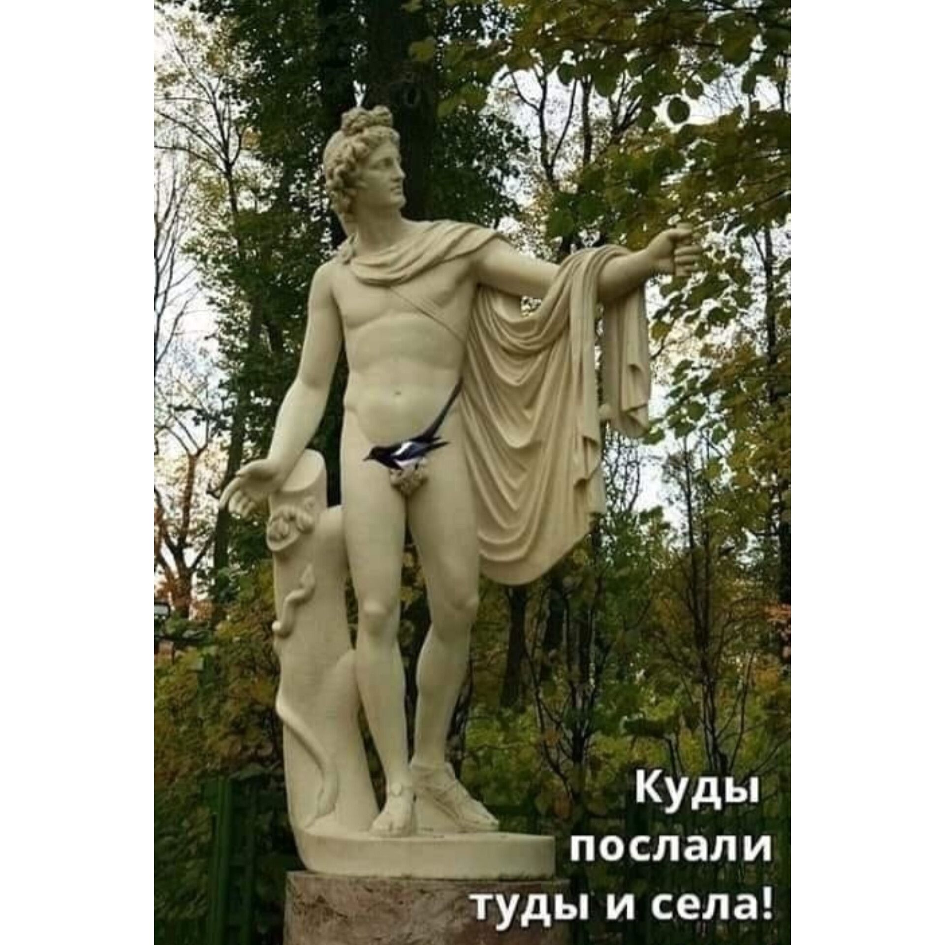 Куды послали туды и села