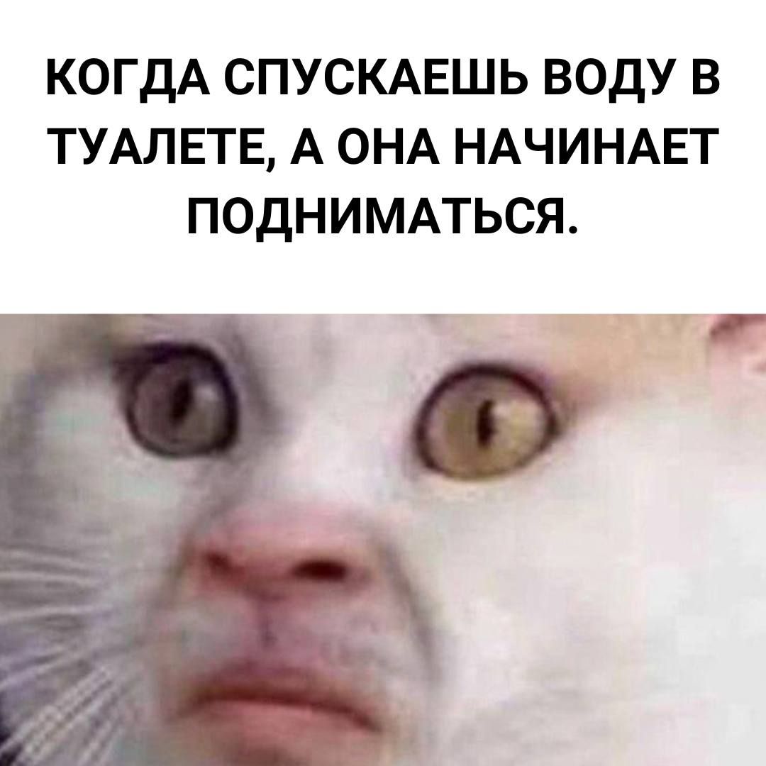 КОГДА СПУСКАЕШЬ ВОДУ В ТУАЛЕТЕ А ОНА НАЧИНАЕТ ПОДНИМАТЬСЯ