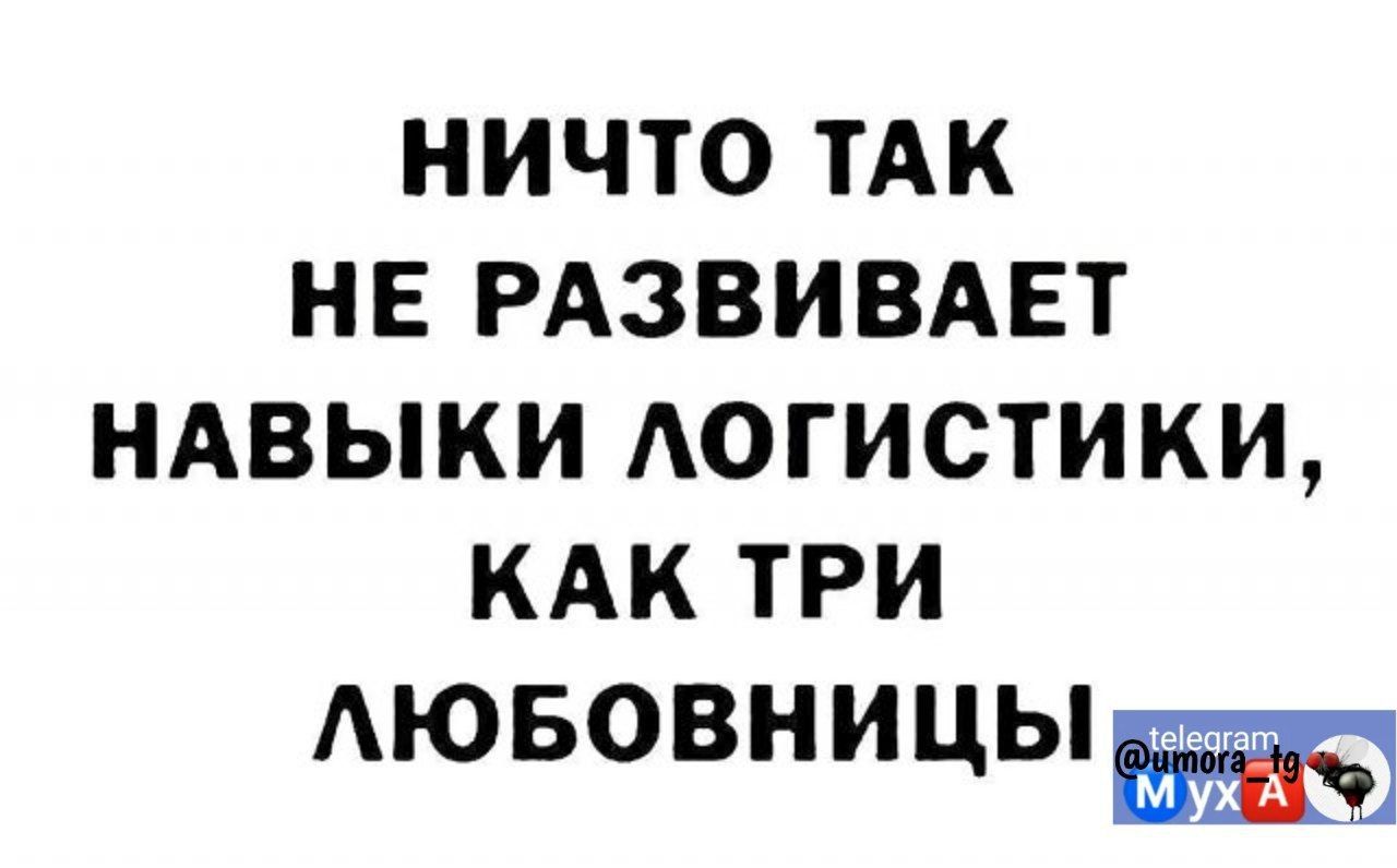 НИЧТО ТАК НЕ РАЗВИВАЕТ НАВЫКИ АОГИСТИКИ КАК ТРИ АЮБОВНИЦЫШ