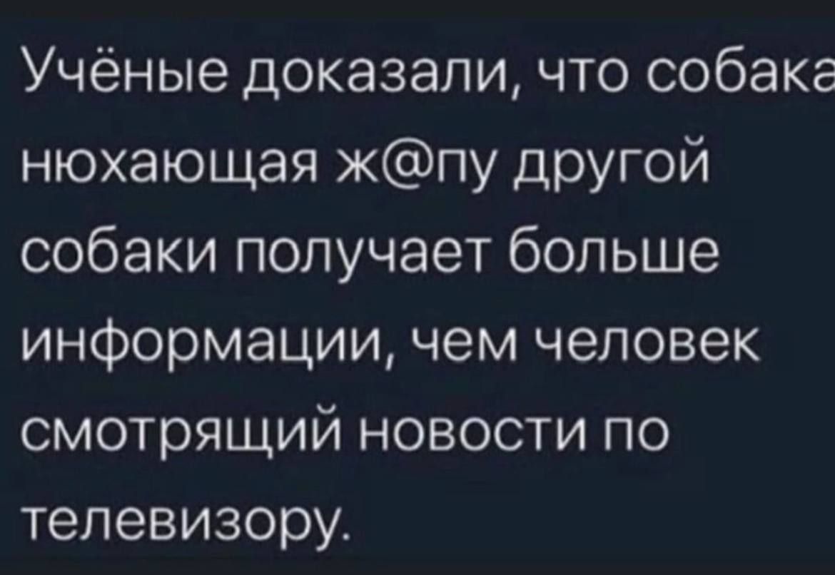Учёные доказали что собака нюхающая жпу другой собаки получает больше информации чем человек смотрящий новости по телевизору