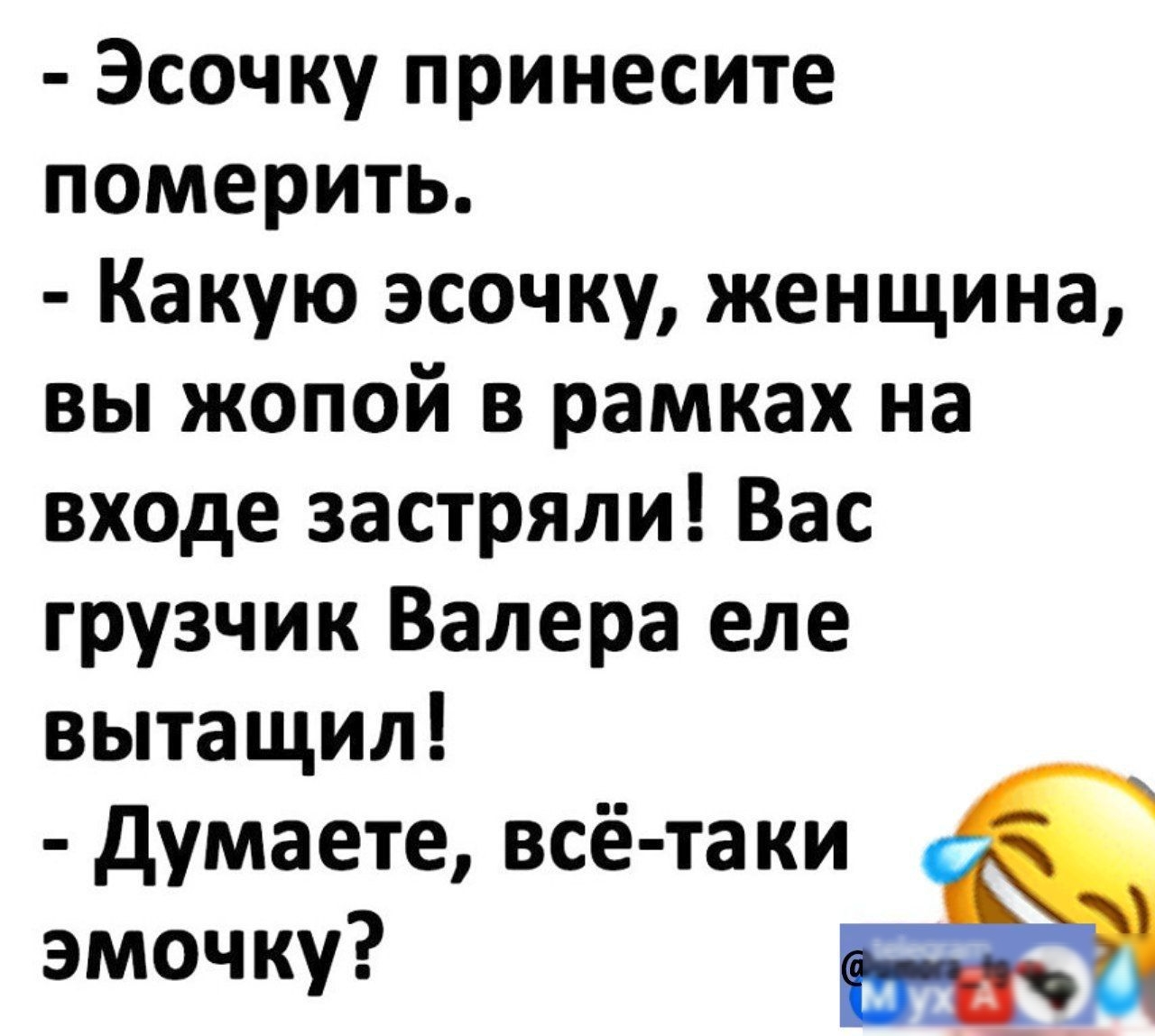 Эсочку принесите померить Какую эсочку женщина вы жопой в рамках на входе застряли Вас грузчик Валера еле вытащил думаете всё таки эмочку