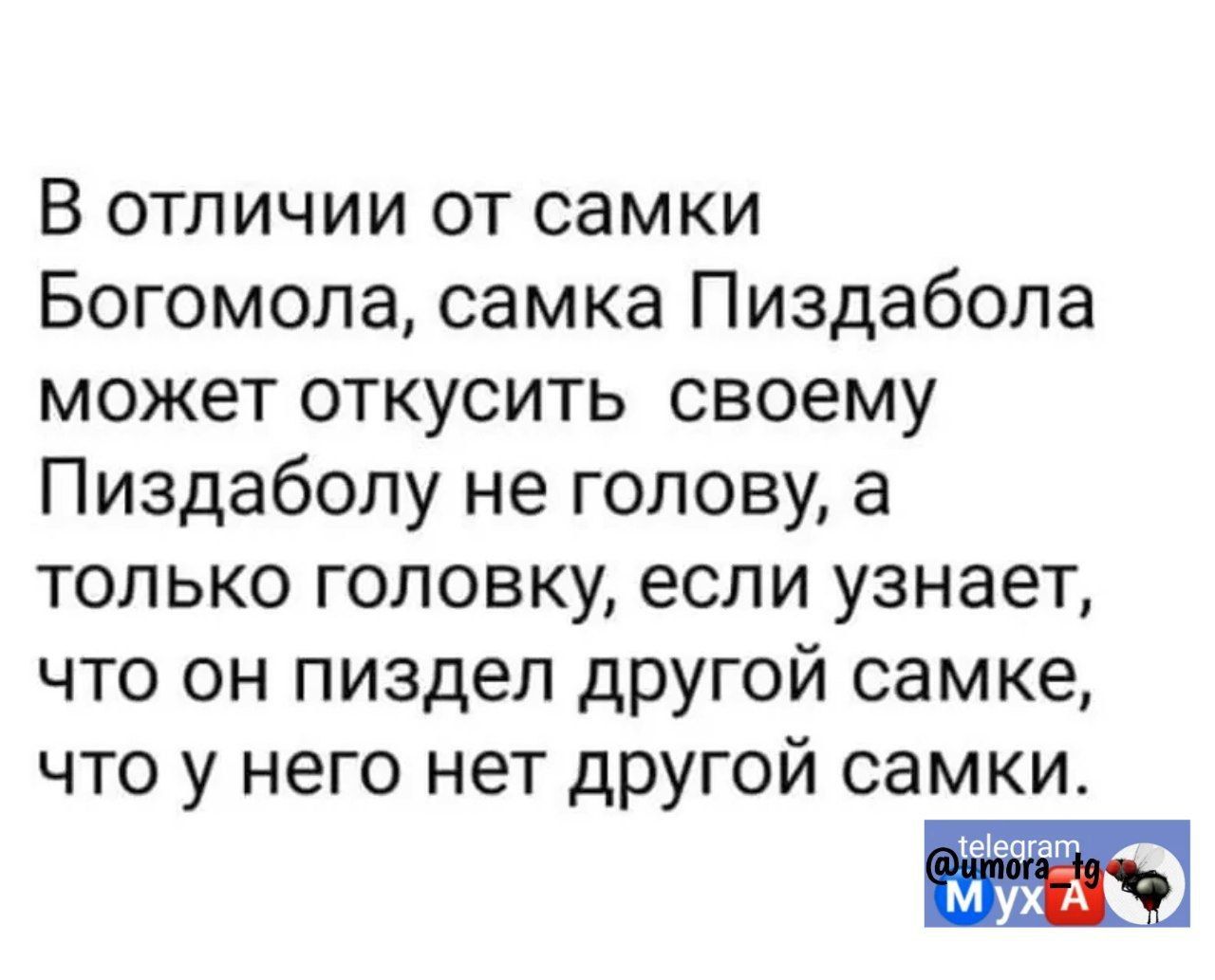 В отличии от самки Богомола самка Пиздабола может откусить своему Пиздаболу не голову а только головку если узнает что он пиздел другой самке что у него нет другой самки юы М А
