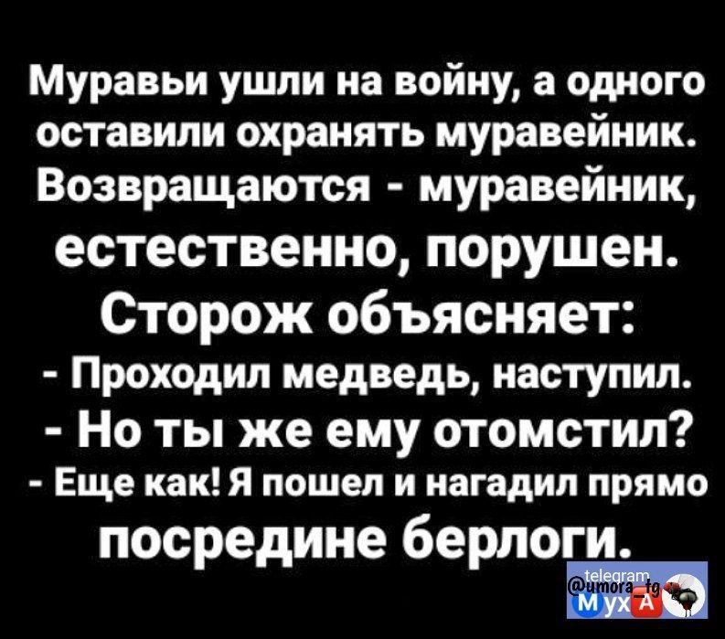 Муравьи ушли на войну а одного оставили охранять муравейник Возвращаются муравейник естественно порушен Сторож объясняет Проходил медведь наступил Но ты же ему отомстил Еще как Я пошел и иагадип прямо пос едине бе оги