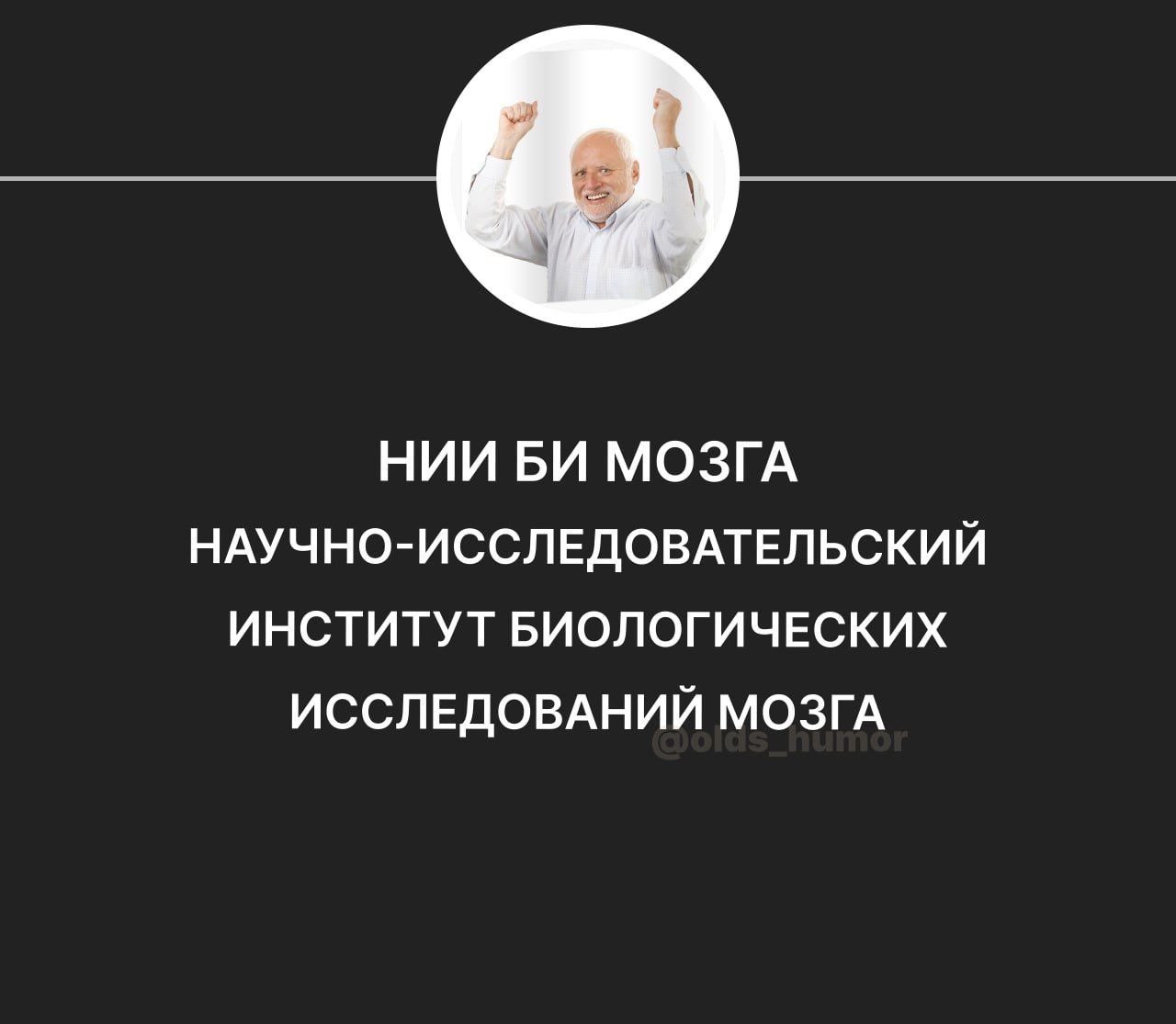 НИИ БИ МОЗГА НАУЧНОИССЛЕДОВАТЕПЬСКИЙ институт Биологических ИССЛЕДОВАНИЙ МОЗГА