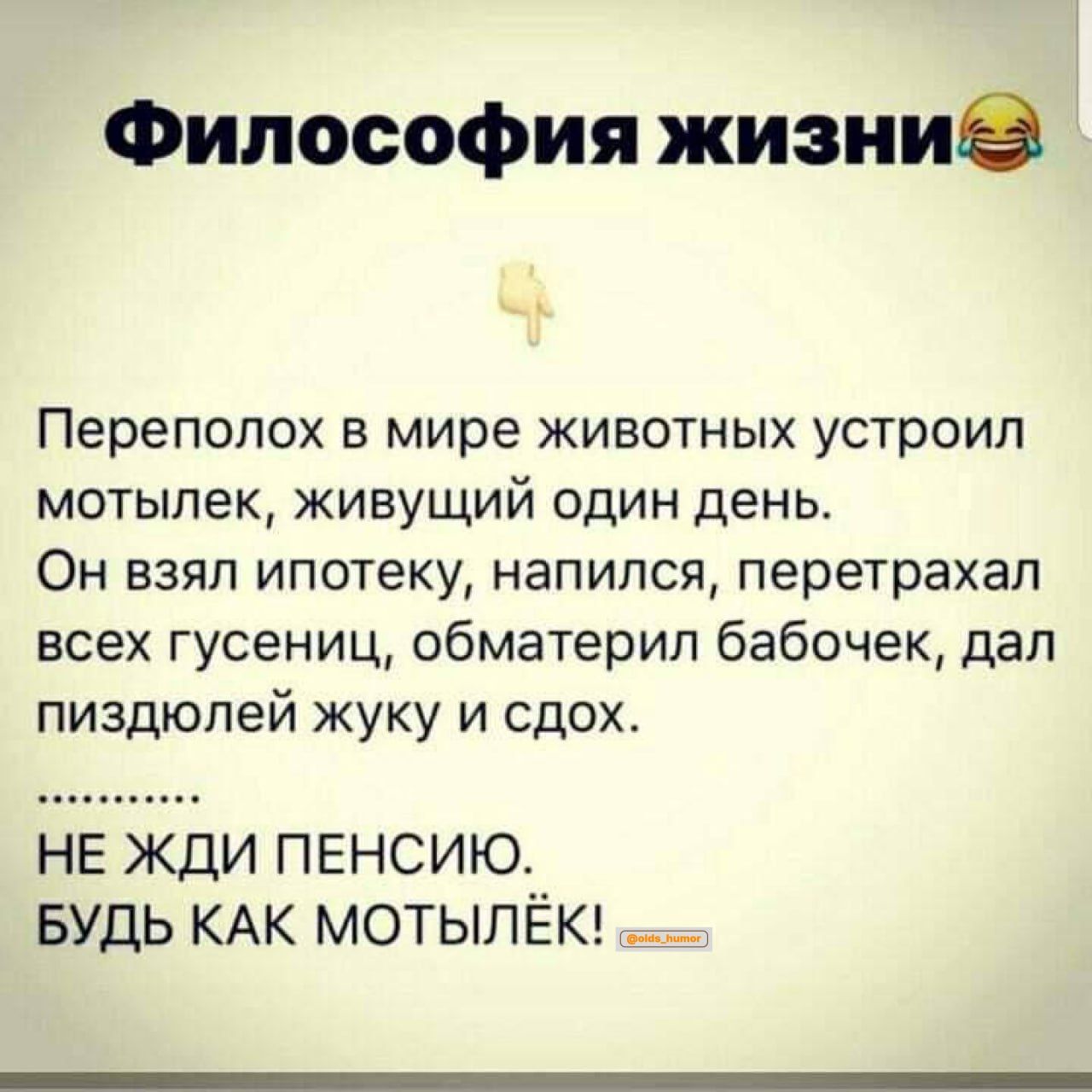 Философия жиэиив Переполох в мире животных устроил мотылек живущий один день Он взял ипотеку напился перетрахал всех гусениц обматерил бабочек дал пиздюпей куку и сдох НЕ кди пенсию БУДЬ КАК мотыпЁкг __