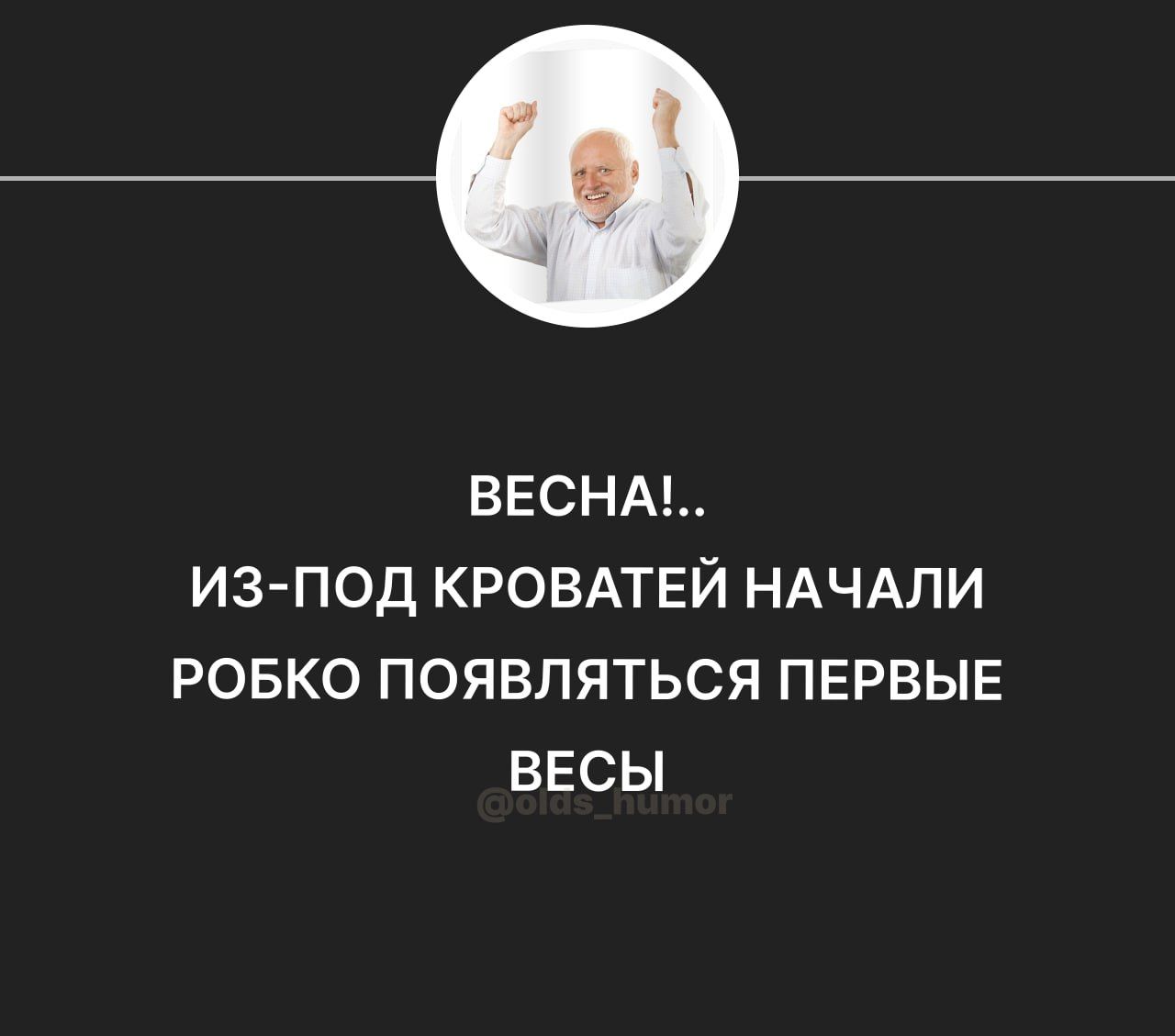 ВЕСНА ИЗ ПОД КРОВАТЕЙ НАЧАЛИ РОБКО ПОЯВПЯТЬСЯ ПЕРВЫЕ ВЕСЫ