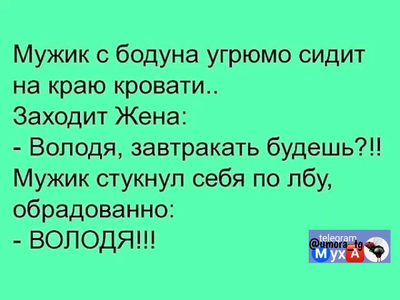 Мужик с бодуна угрюмо сидит на краю кровати Заходит Жена Володя завтракать будешь Мужик стукнул себя по лбу обрадованно ВОЛОДЯ