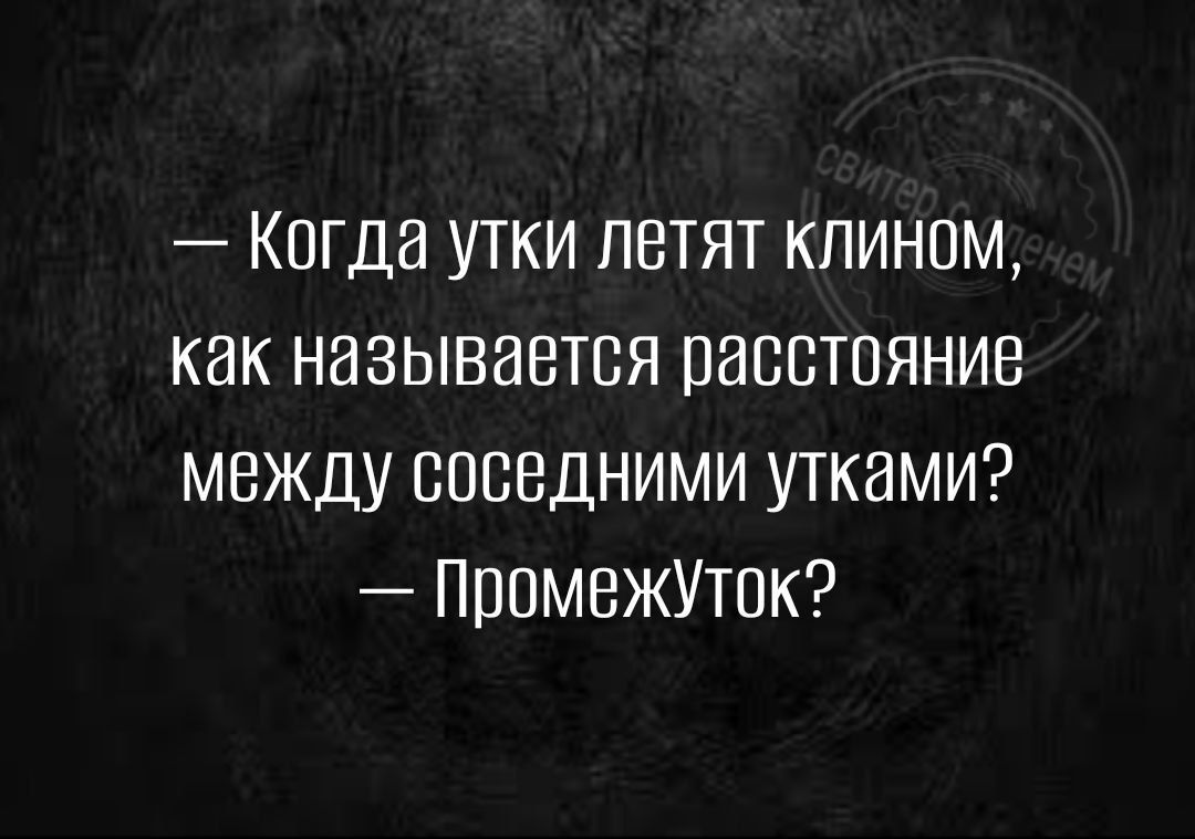 _ КОГДН УТКИ ЛЕТЯТ КПИНПМ КНК НЭЗЫВИВТОЯ ПНСВТОЯНИВ МЕЖДУ СОСБДНИМИ УТКЗМИ ППОМЕЖУТПК