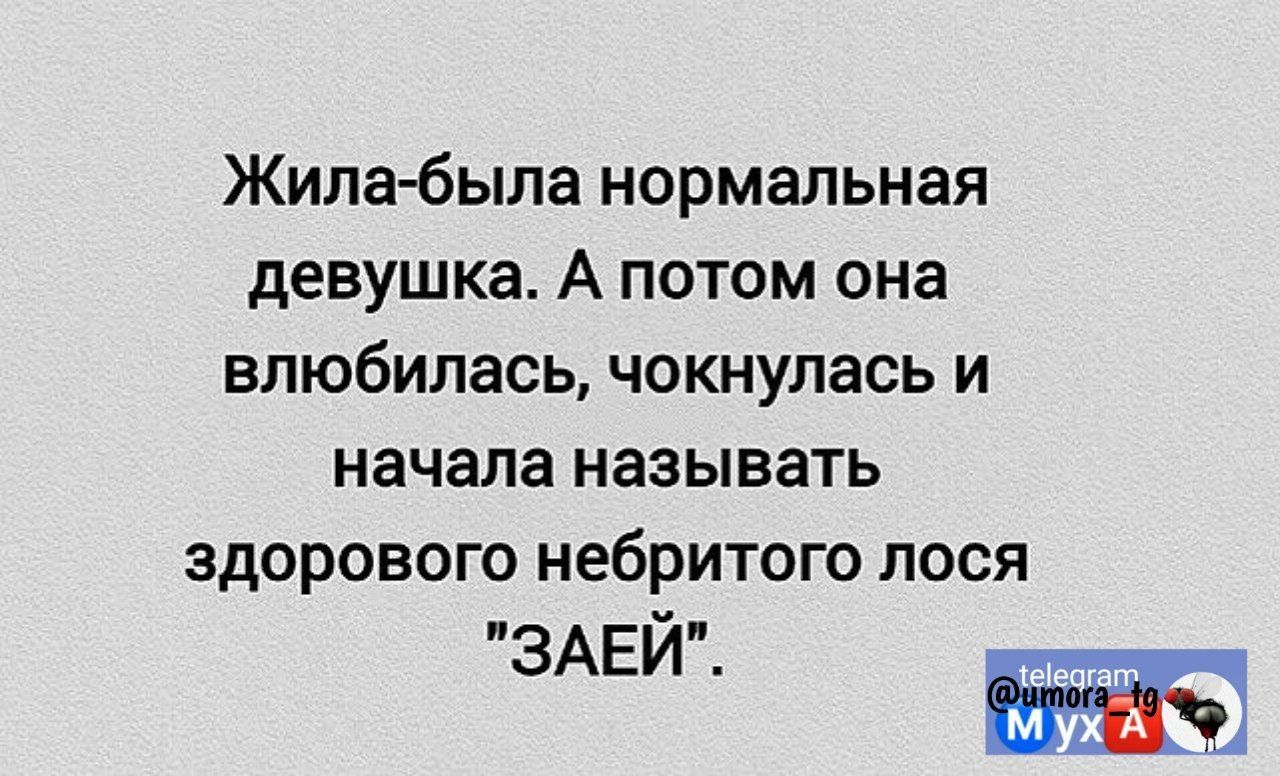 Жила была нормальная девушка А потом она влюбилась чокнулась и начала называть здорового небритого лося ЗАЕЙ