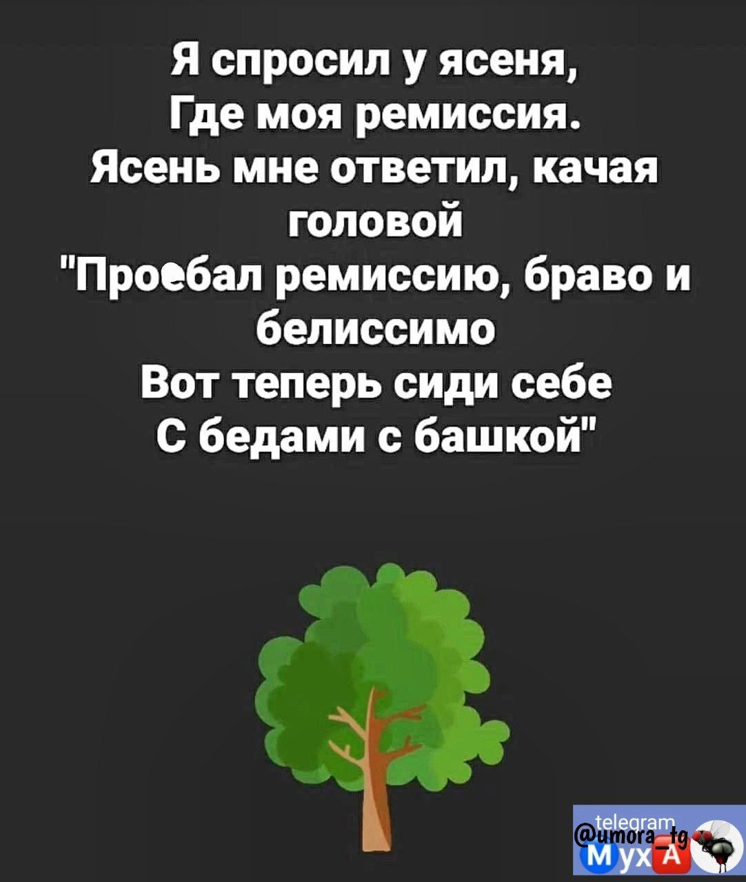 я спросил у ясеня Где моя ремиссия Ясень мне ответил качая головой Проебал ремиссию Браво и белиссимо Вот теперь сиди себе с бедами с башкой