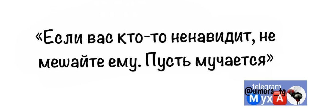 Если вас ктото ненавидит не мешайте ему Пувть мучается