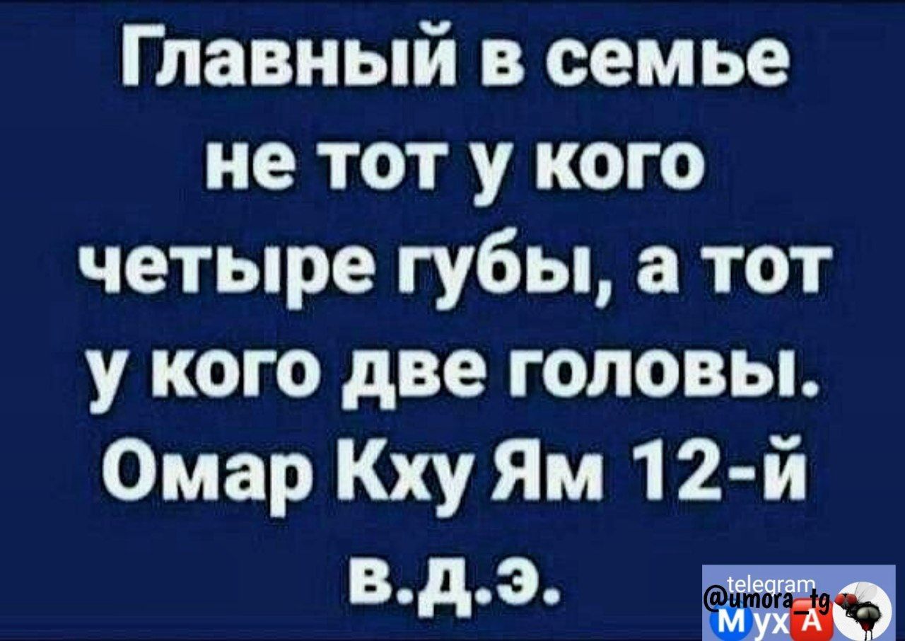 Главный в семье не тот у кого четыре губы тот у кого две головы Омар Кху Ям 12 й Вдэ