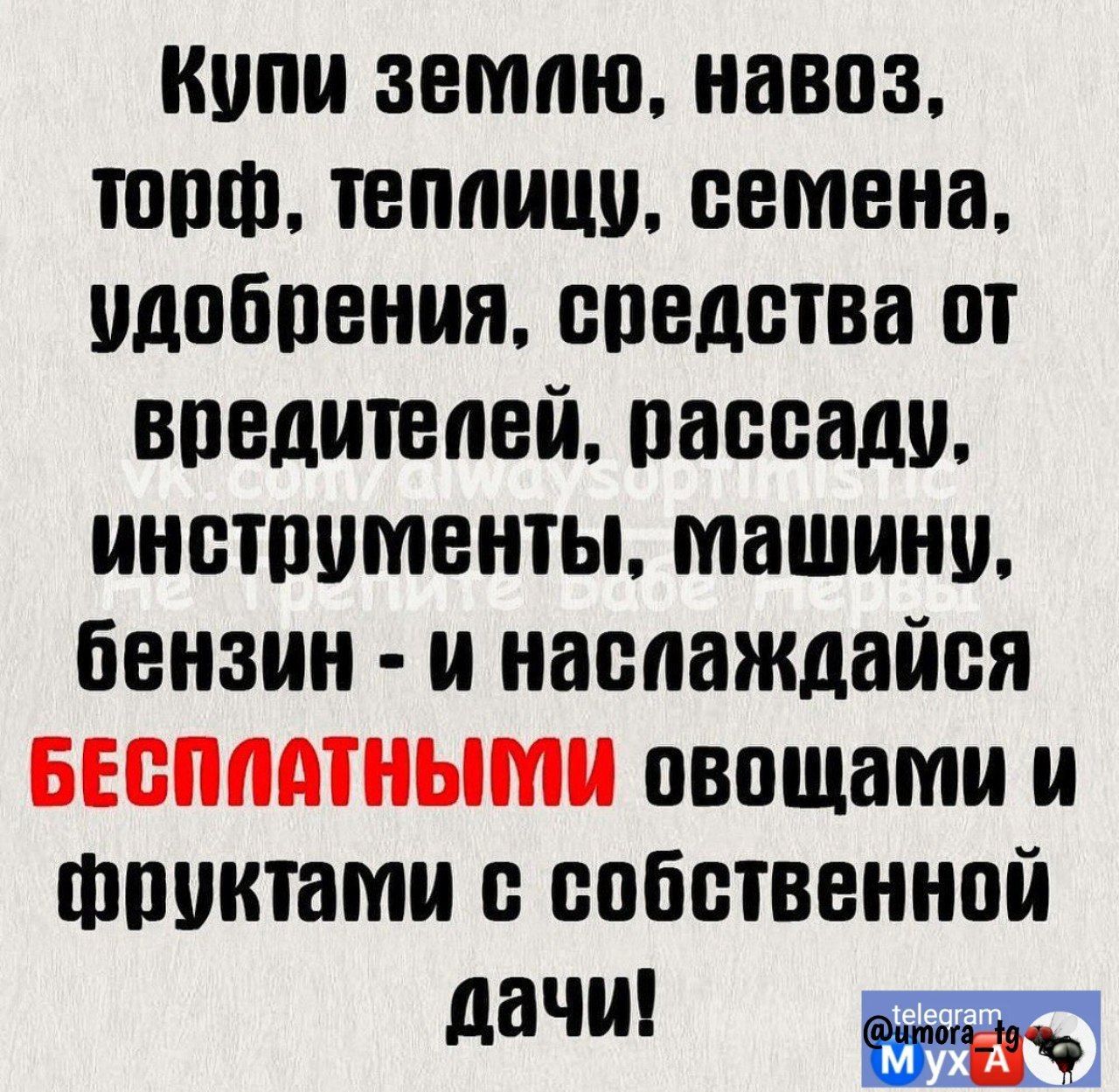 кипи землю навоз юрт теплици семена одобрения спедства от вредителей пассади инструменты машини бензин и наслаждайся БЕБММНЫММ овощами и фруктами с собственной дачи