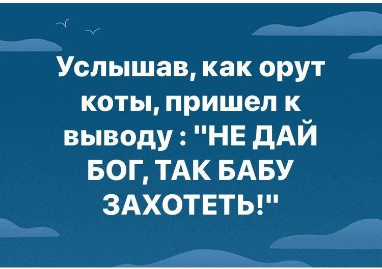 Услышав как орут коты пришел к выводу НЕ дАЙ БОГ ТАК БАБУ ЗАХОТЕТЬ