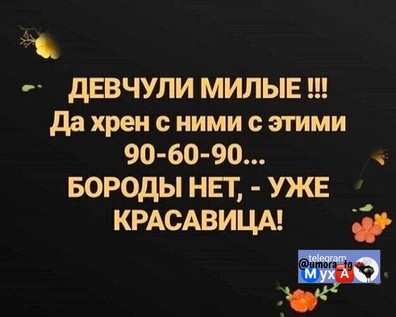 дЕВЧУЛИ МИЛЫЕ да хрен с ними с этими 90 60 90 БОРОДЫ НЕТ УЖЕ КРАСАВИЦА