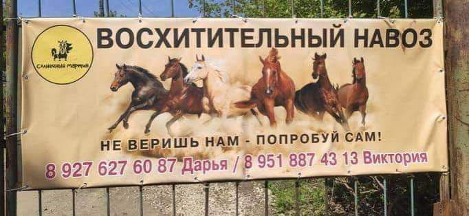 _ 1 пищи ВОСХИТИТЕЛЬНЫЙ НАЁОЗ