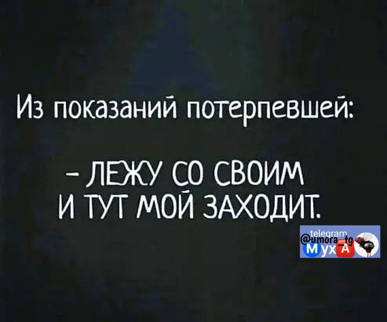 Из показаний потерпевшей лвжу с_о своим и тут мои ЗАХОДИТ шт