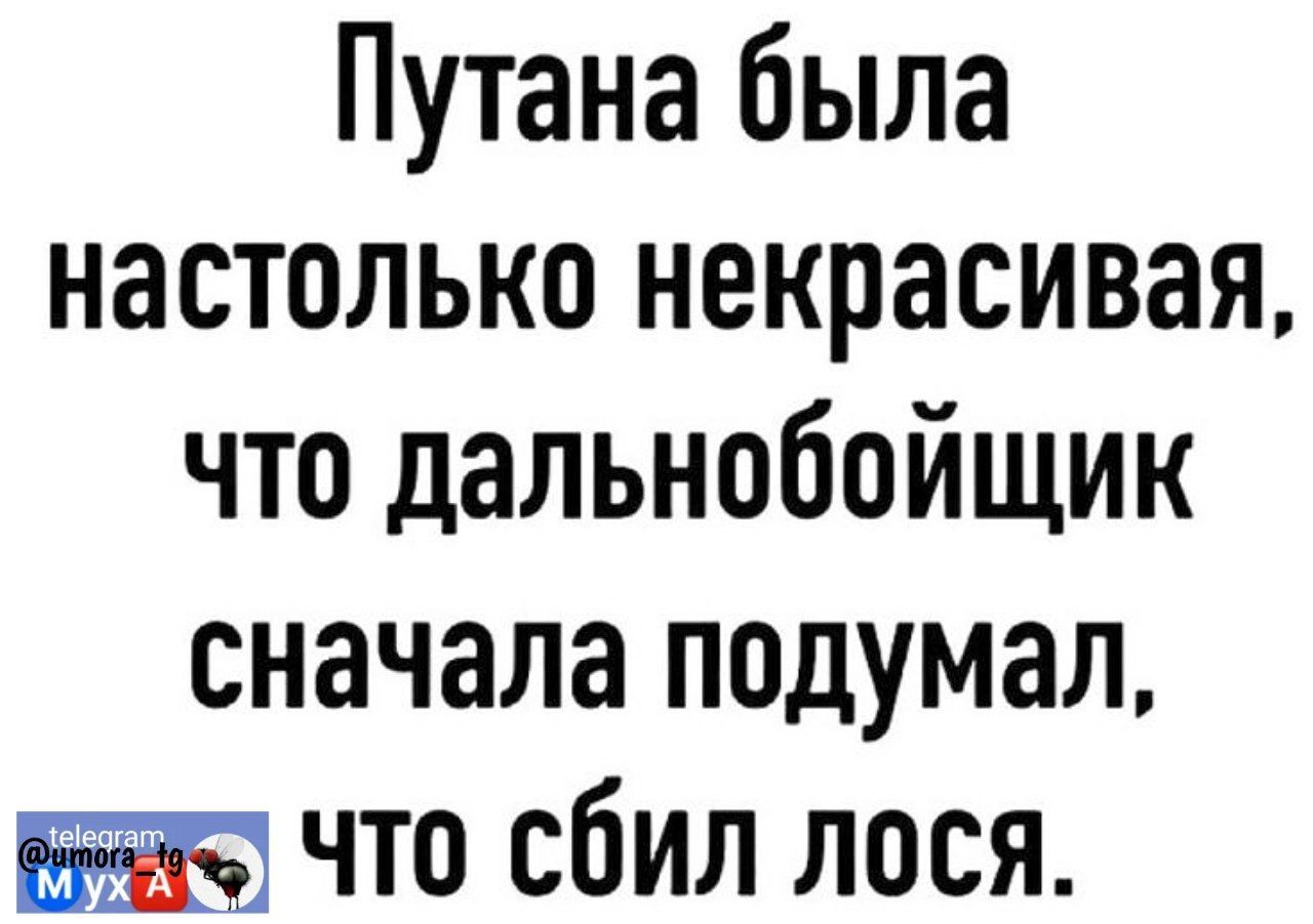 Путана была настолько некрасивая что дальнобойщик сначала подумал что сбил лося