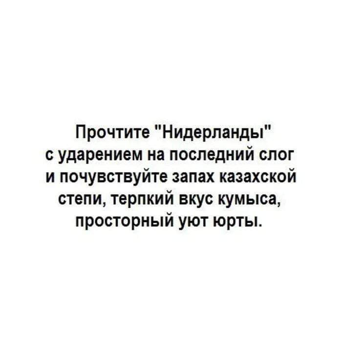 Прочтите Нидерланды ударением на последний слог и почувствуйте запах казахской степи терпкий вкус кумыса просторный уют юрты