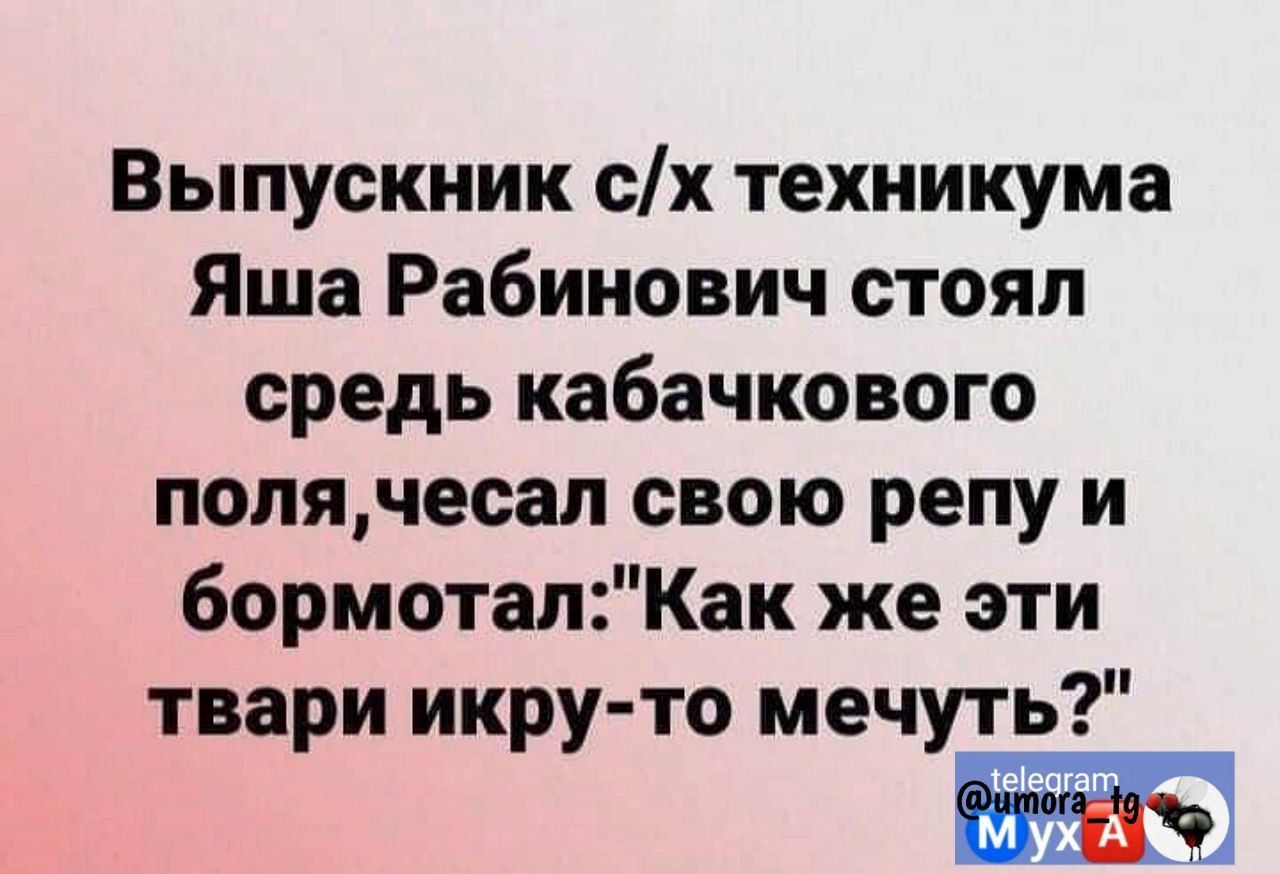 Выпускник сх техникума Яша Рабинович стояп средь кабачкового полячесал свою репу и бормотапКак же эти твари икру то мечуть Х м А