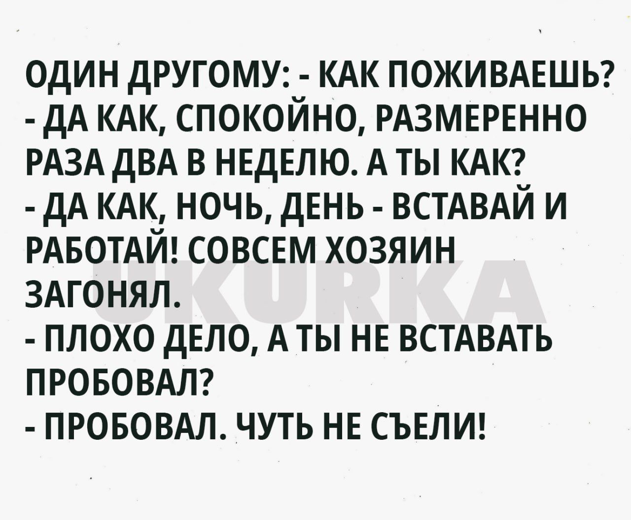 один другому КАК пожи ВАЕШЬ дА КАК спокойно РАЗМЕРЕННО РАЗА дВА в нвдвл ю А ты КАК дА КАК ночь дЕНЬ ВСТАВАЙ и РАБОТАЙ совсвм хозяин 3Агонял плохо дело А ты не ВСТАВАТЬ про БОВАЛ ПРОБОВАЛ чуть не съвлиг