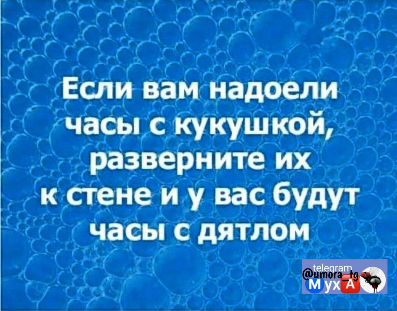 Если вам надоели часыс кукушкой разверните их к стене и у вас будут часы с дятлом р М