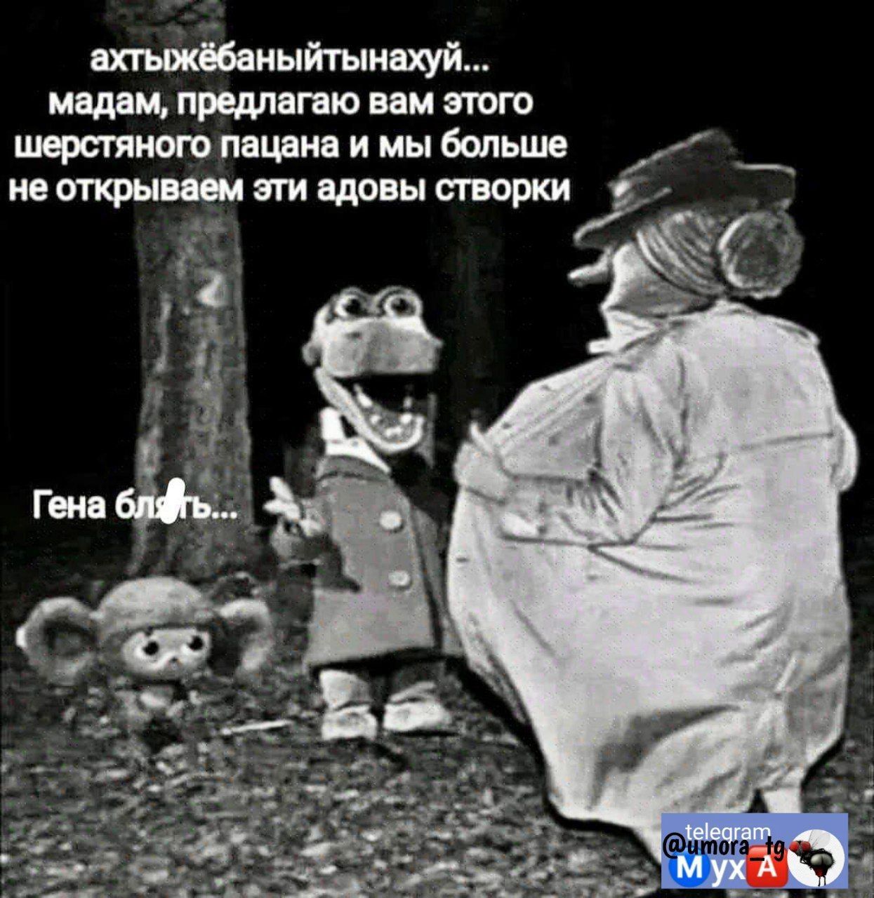 иыйтыищуй мадам предлегвю вам этою ПЯЦЁНЯ И мы ЬШВ не тиры пи цдовы створки із