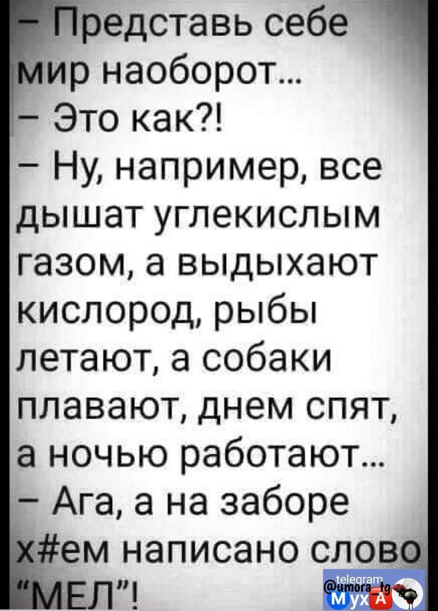 редставь себе ир наоборот Это как Ну например все дышат углекислым газом а выдыхают кислород рыбы летают а собаки плавают днем спят а ночью работают Ага а на заборе ем написано слеза же