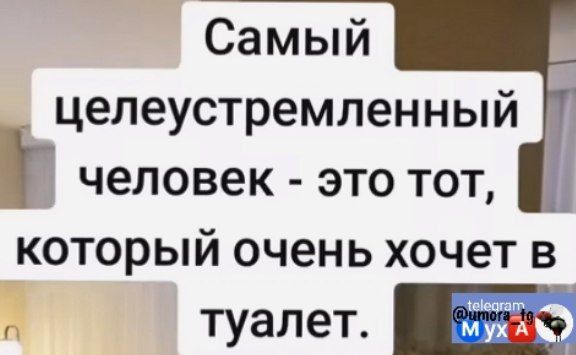 целеустремленный человек это тот который очень хочет в и туалет