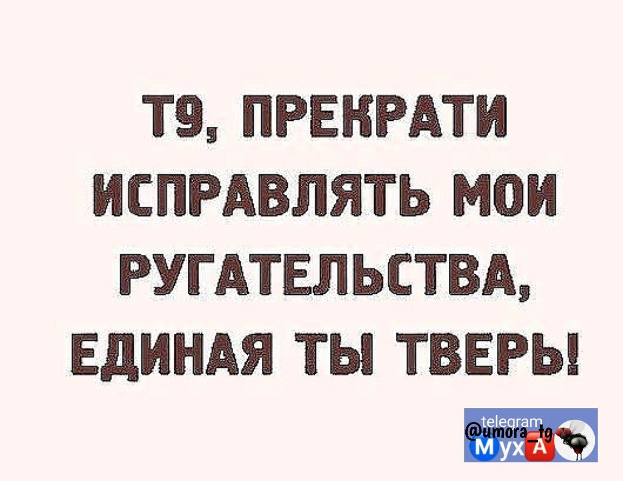 ТВ ПРЕКРАТИ ИСПРАВЛЯТЬ МОИ РУГАТЕЛЬСТВА ЕДИНАЯ ТЫ ТВЕРЬ