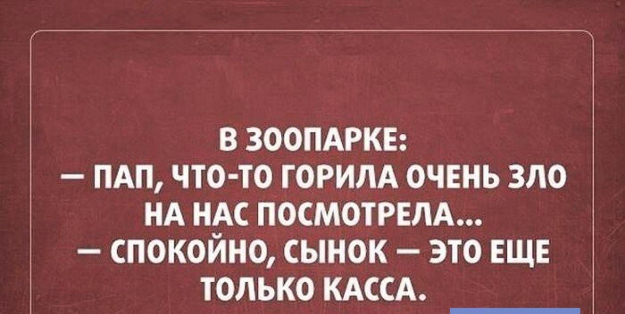 В ЗООПАРКЕ ПАП ЧТО ТО ГОРИЛА ОЧЕНЬ ЗЛО НА НАС ПОСМОТРЕЛА СПОКОЙНО СЫНОК ЭТО ЕЩЕ ТОЛЬКО КАССА