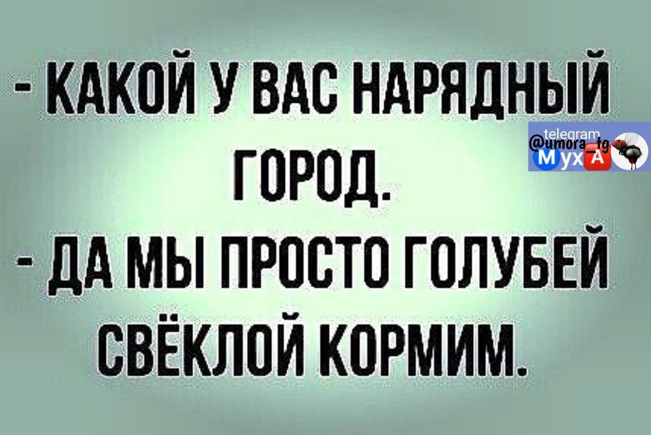 кдкои вдс ндрядныи город дА мы просто ГОПУБЕЙ свёклпй кормим