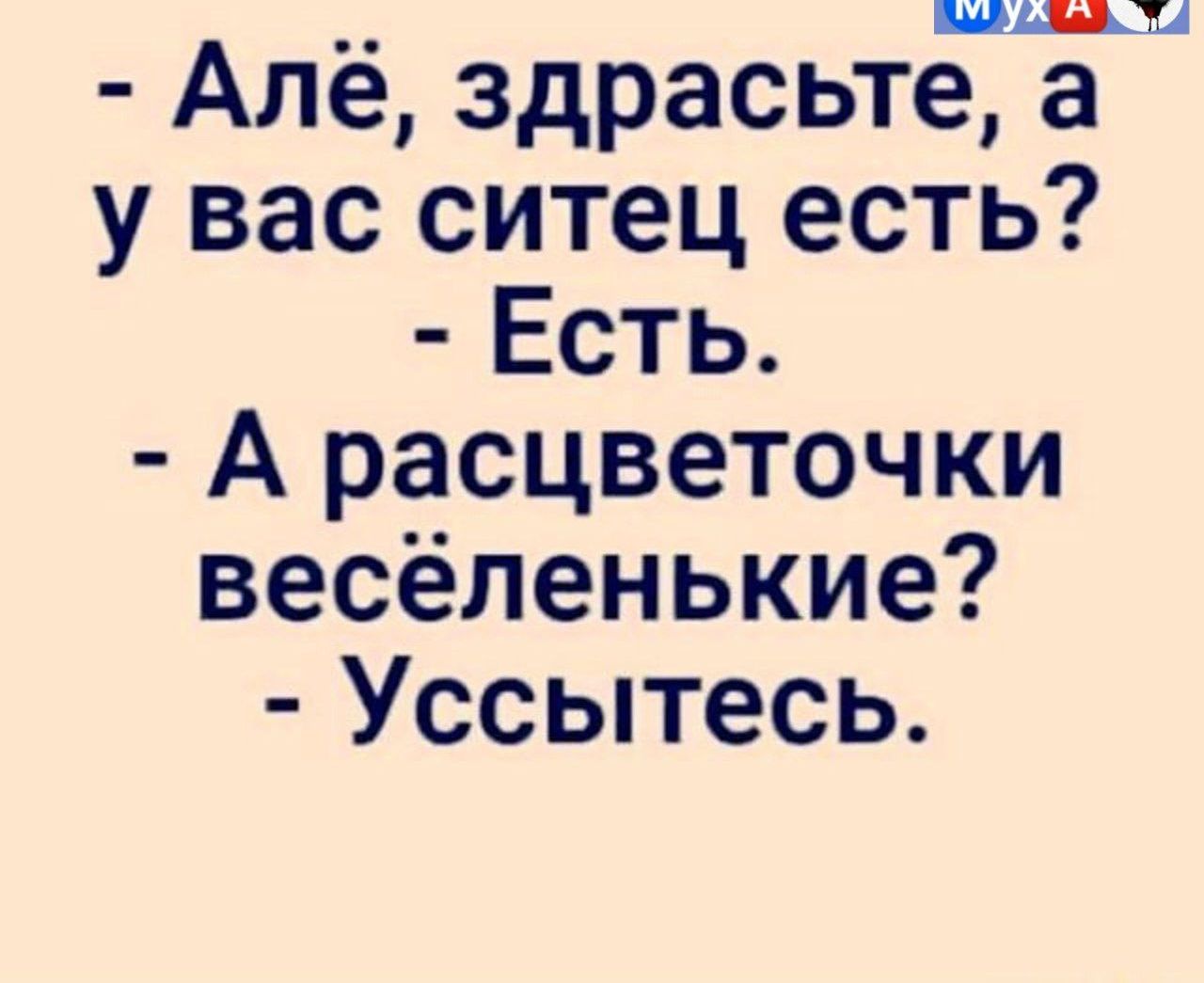 пищи Алё здрасьте а у вас ситец есть Есть А расцветочки весёленькие Уссытесь